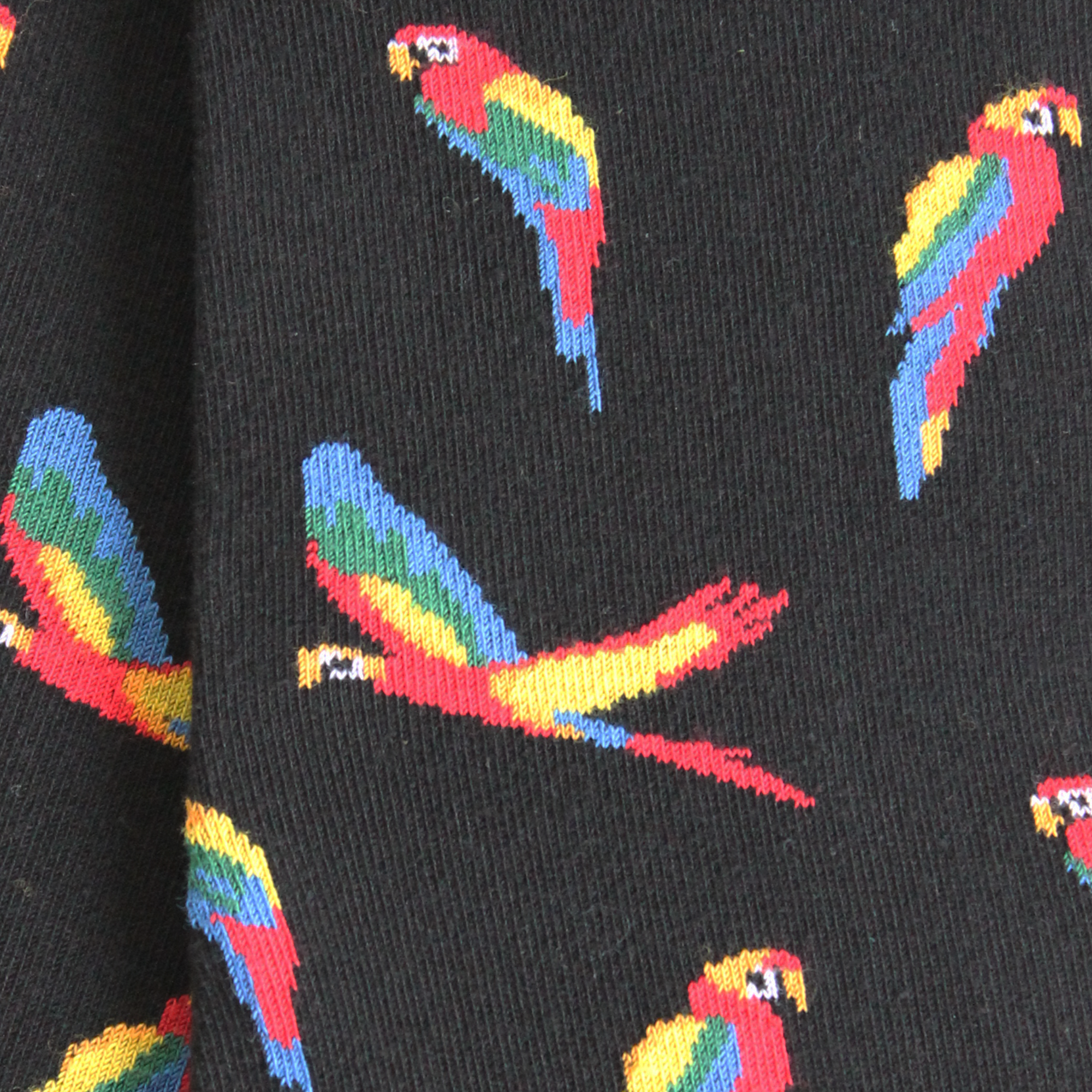 Chaussettes en coton Noir - Semis perroquets