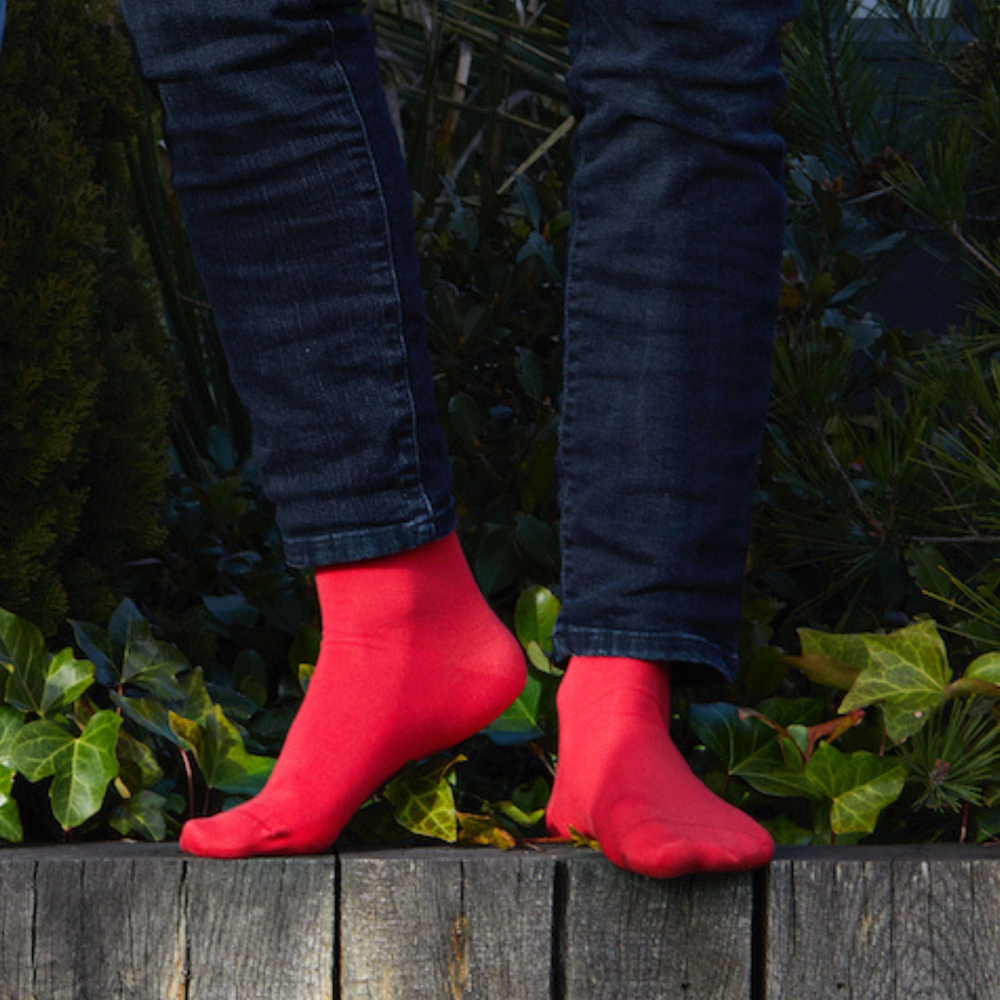 Chaussettes en coton Rouge - Unies jersey