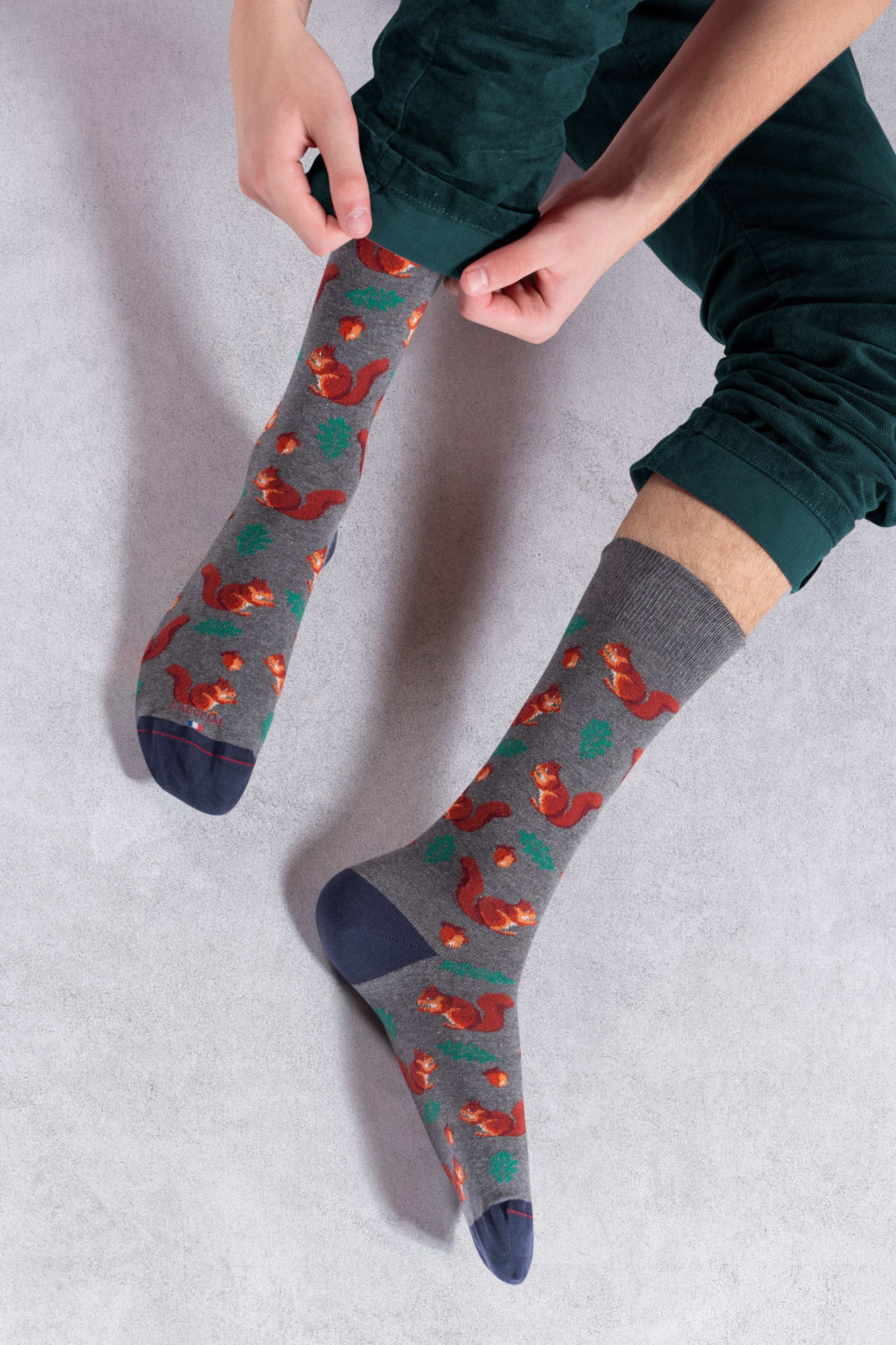 Chaussettes en coton Gris foncé - Motifs écureuils