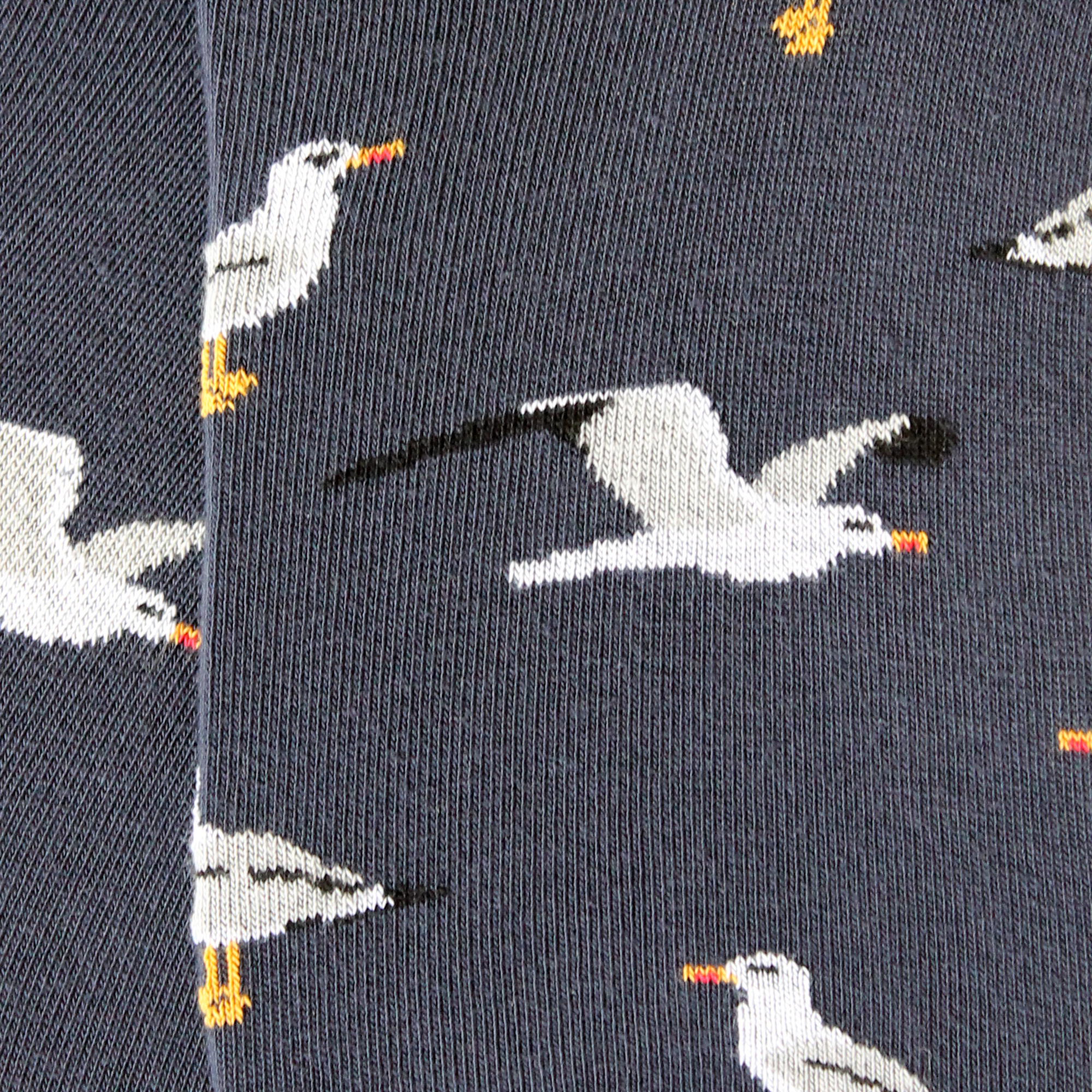 Mini-socquettes en coton Marine - Mouettes