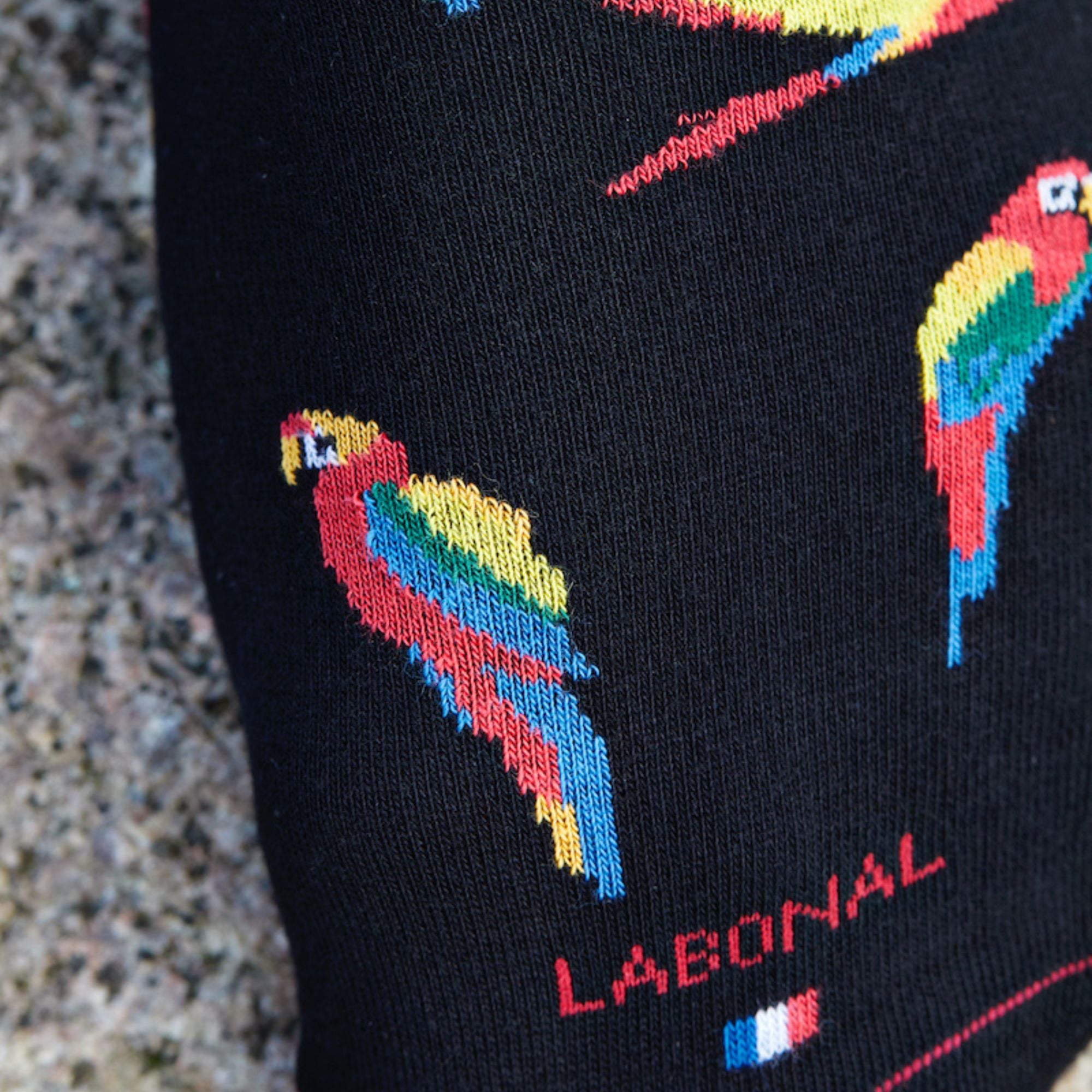 Chaussettes en coton Noir - Semis perroquets