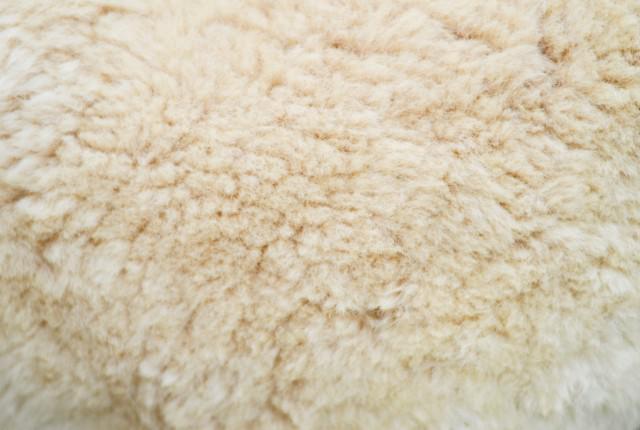 Toison de mouton pour chaussettes en laine
